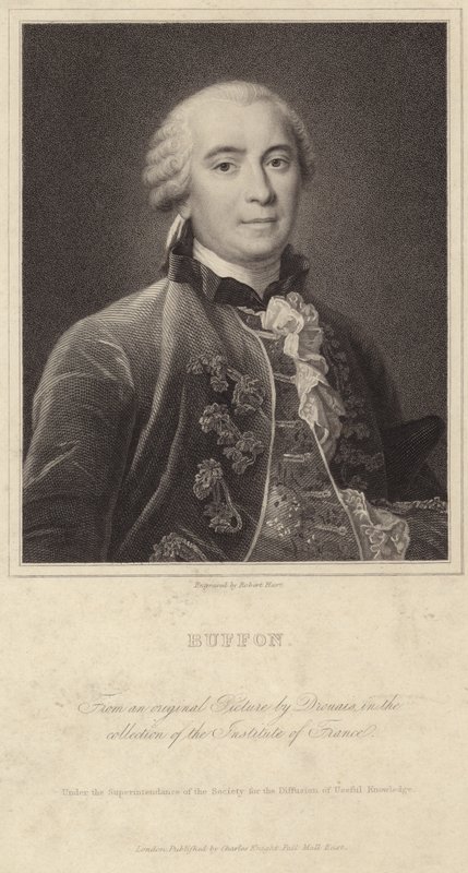 Ritratto di Georges-Louis Leclerc, Conte di Buffon da Francois Hubert Drouais