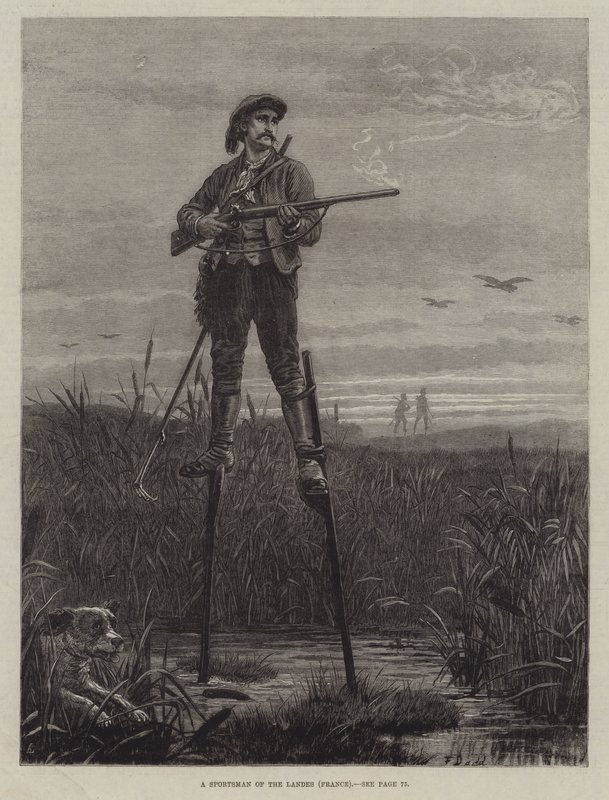 Un Cacciatore delle Landes (Francia) da Frank Dadd