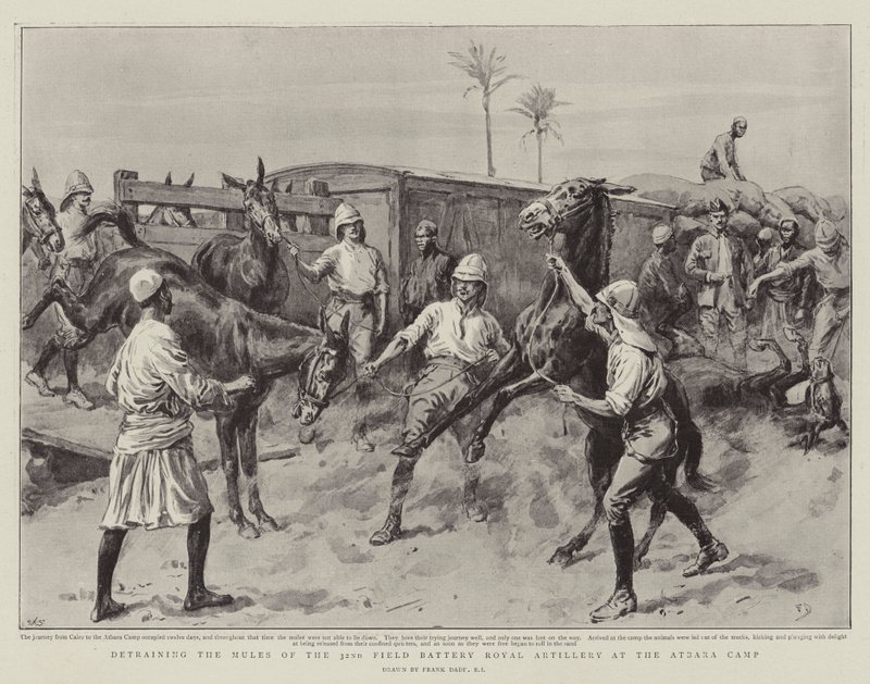 Scarico dei muli della 32ª Batteria da Campo Reale Artiglieria al campo di Atbara da Frank Dadd