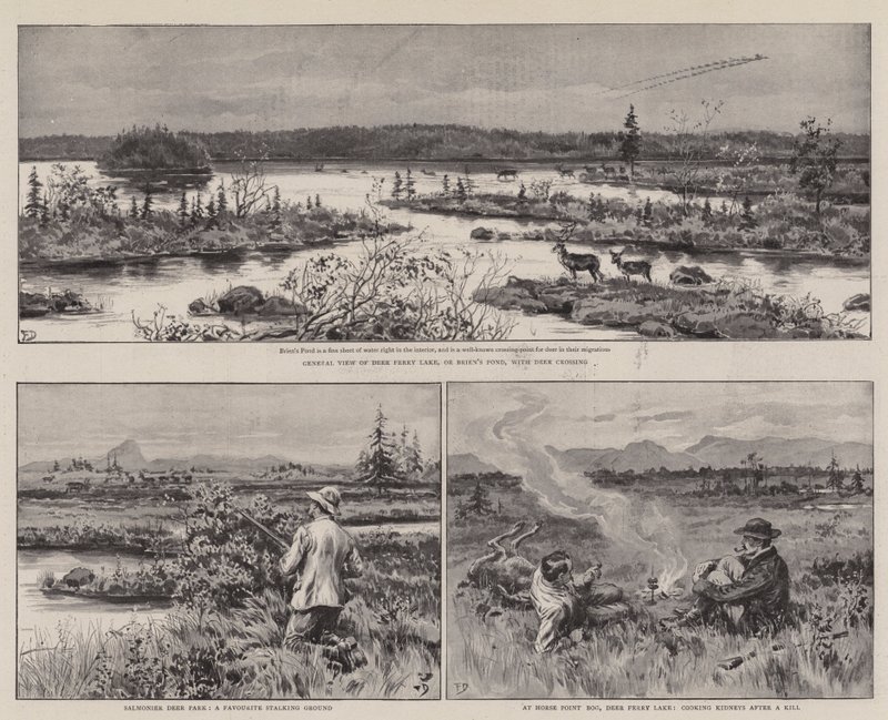 Agricoltura e sport a Terranova da Frank Dadd
