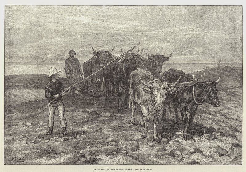 Aratura sulle Colline del Sussex da Frank Dadd