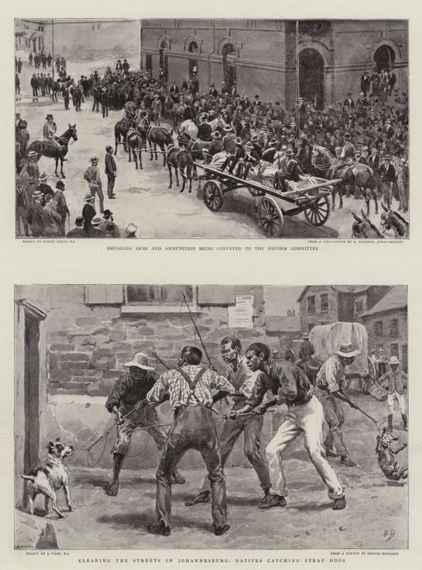 La crisi del Transvaal da Frank Dadd
