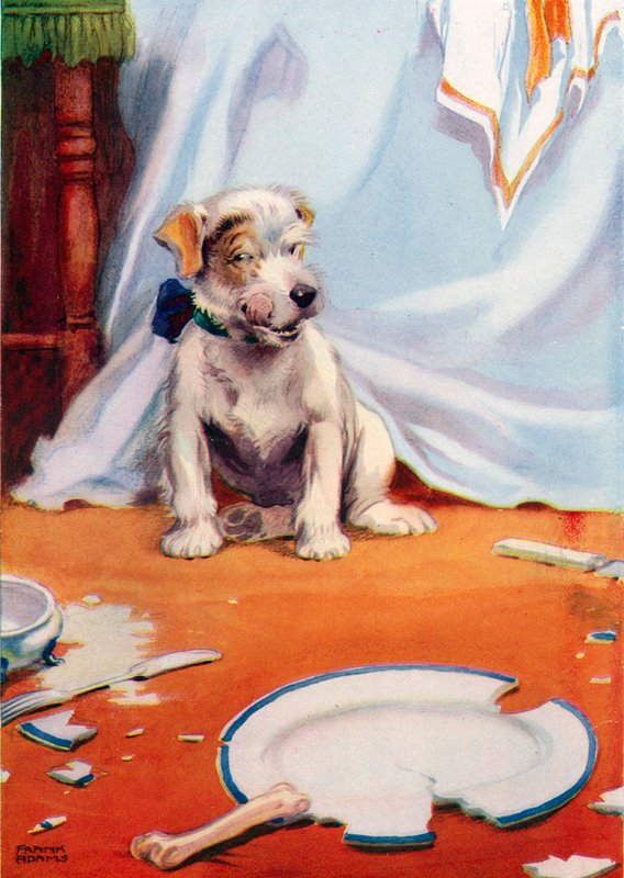 Cane con piatto rotto (litografia a colori) da Frank Adams