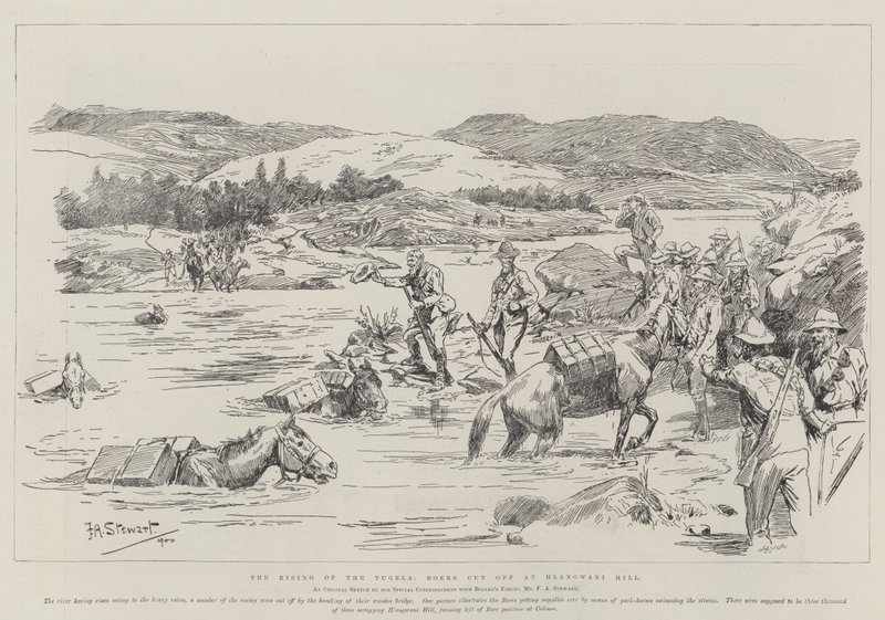 La Risalita del Tugela, Boeri tagliati fuori a Hlangwani Hill da Frank Algenon Stewart