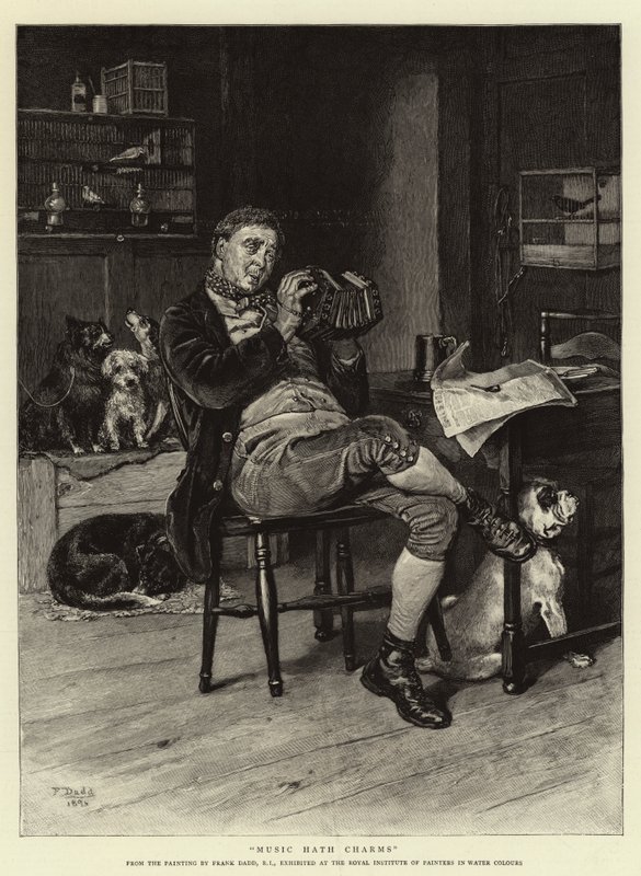 La musica ha fascino da Frank Dadd