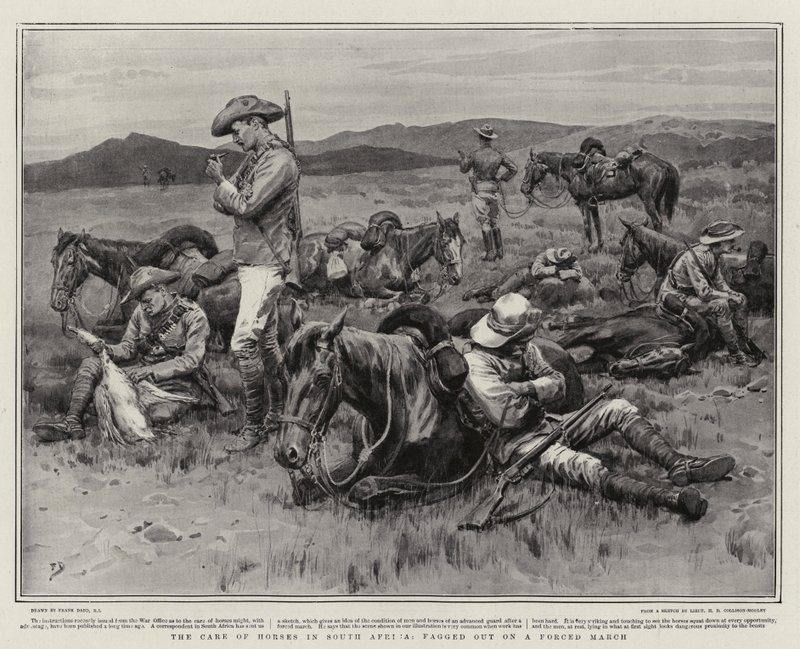 La cura dei cavalli in Sudafrica, esausti dopo una marcia forzata da Frank Dadd