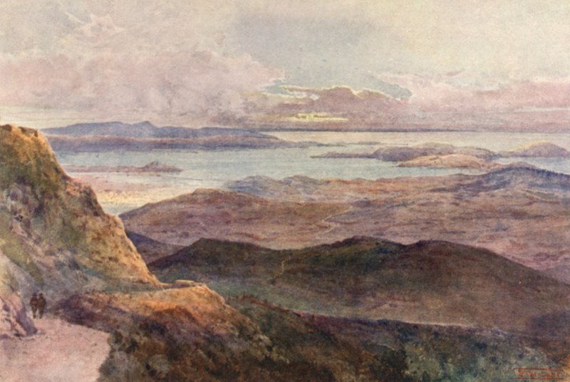 Nuova Zelanda: Coromandel da Frank H Wright