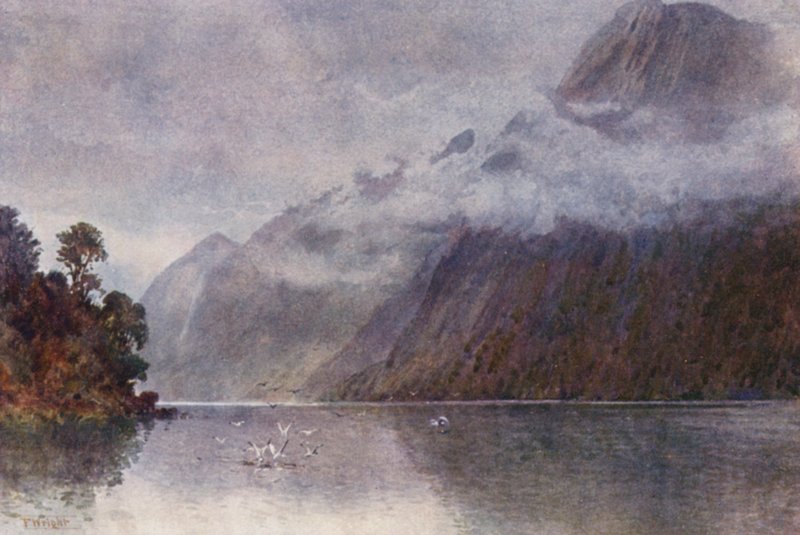 Nuova Zelanda: Nel Milford Sound da Frank H Wright