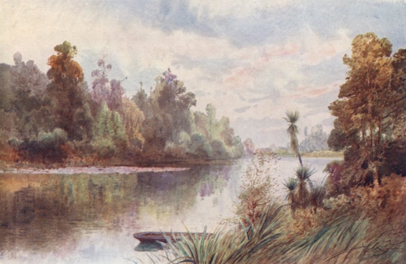 Nuova Zelanda: Sul fiume Pelorus da Frank H Wright