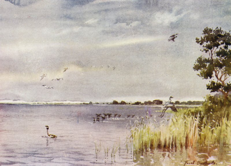 Norfolk Broads: Horsey Mere da Frank Southgate