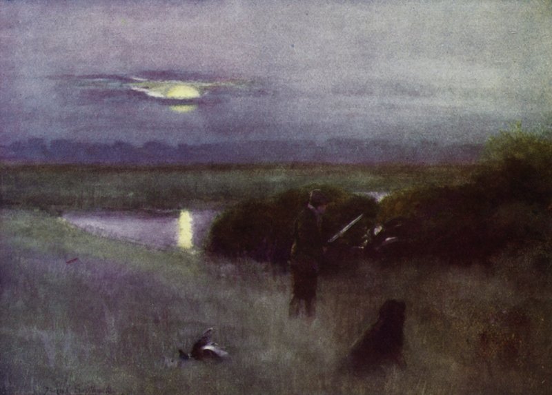 Norfolk Broads: Sorgere della luna, a Flight da Frank Southgate