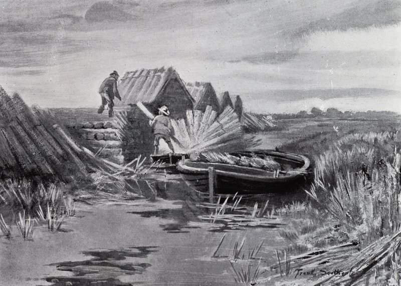 Norfolk Broads: Impilamento delle canne da Frank Southgate