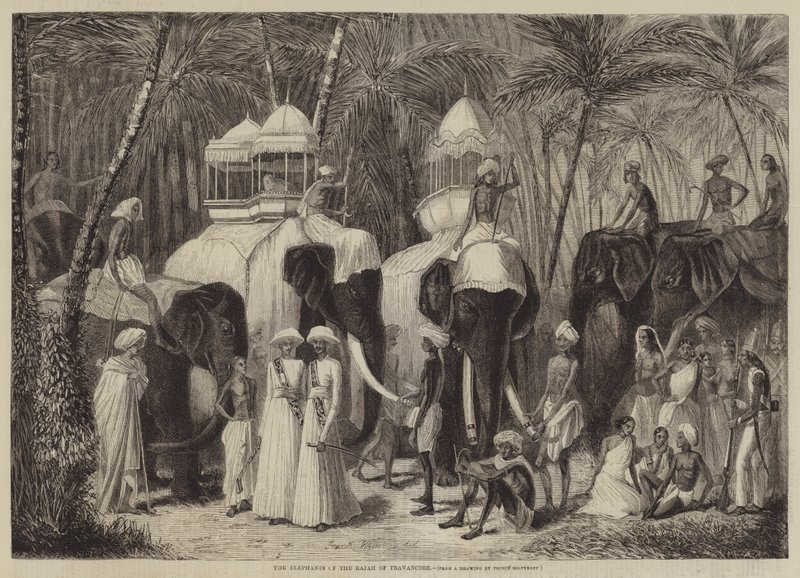 Gli elefanti del Rajah di Travancore da Frank Vizetelly