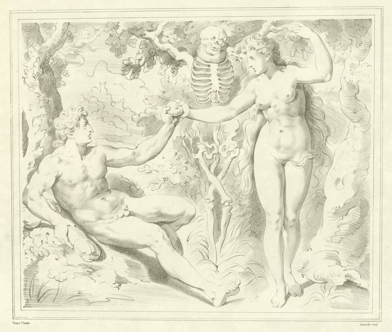 Adamo ed Eva da Frans Floris