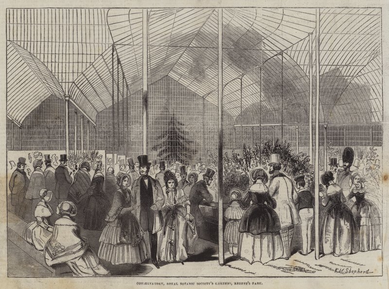 Serra, Giardini della Royal Botanic Society, Regent
