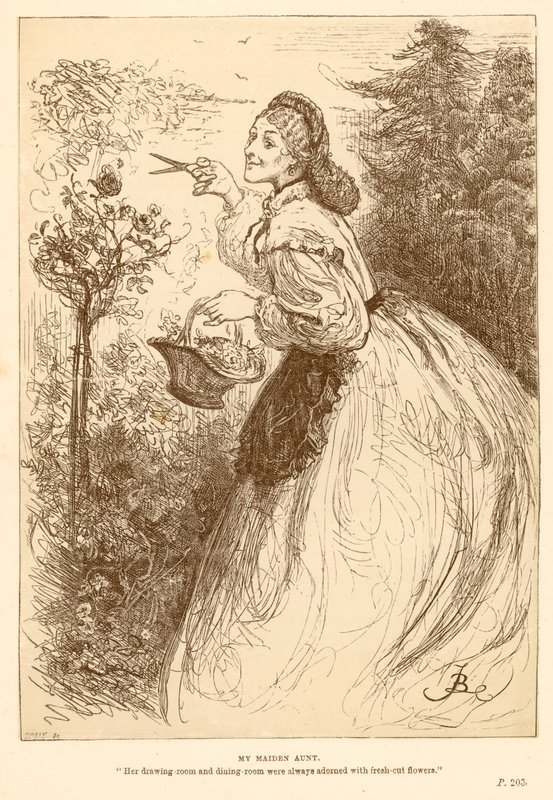La mia zia nubile da Frederick Barnard