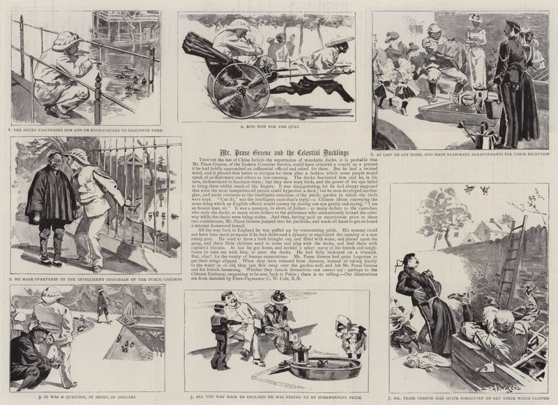 Mr Pease Greene e i paperotti celesti da Frederick Henry Townsend