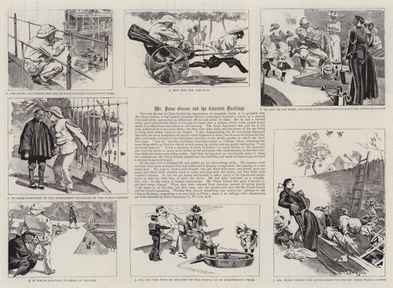 Mr Pease Greene e i Paperotti Celesti da Frederick Henry Townsend