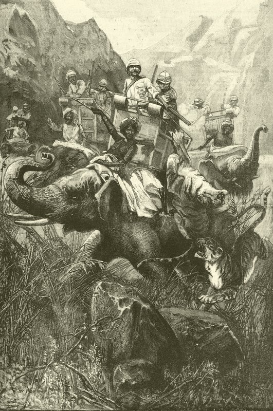 Caccia alla tigre in India da Frederick William Burton