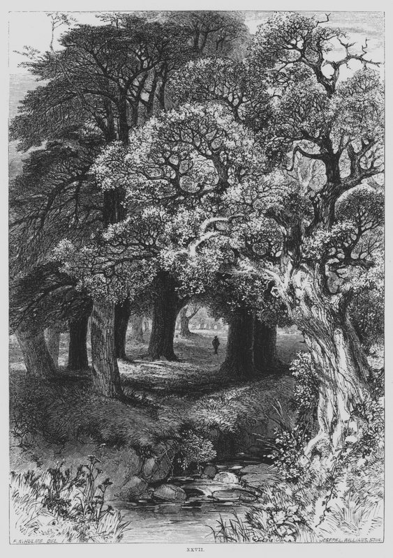 John Milton, Il Penseroso da Frederick William Hulme