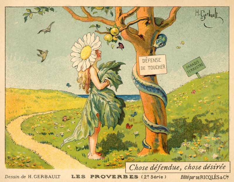 Cosa proibita, cosa desiderata da French School