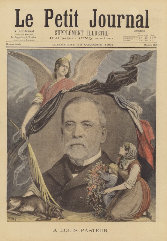 A Louis Pasteur da French School