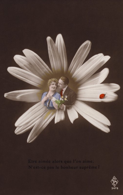 Una giovane coppia al centro di un fiore con una coccinella da French Photographer