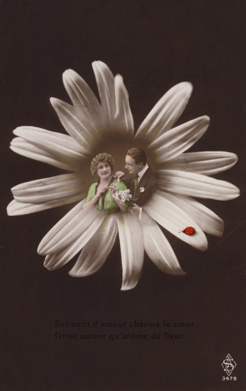 Una giovane coppia al centro di un fiore con una coccinella da French Photographer