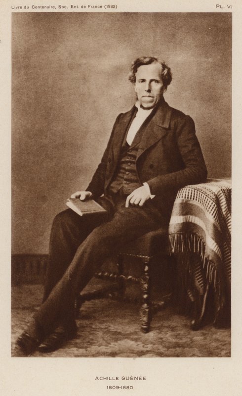 Achille Guenee, entomologo francese (foto in bianco e nero) da French Photographer
