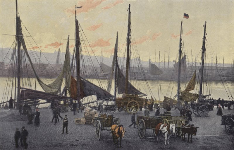 Boulogne-sur-Mer, Preparativi per la pesca delle aringhe da French Photographer