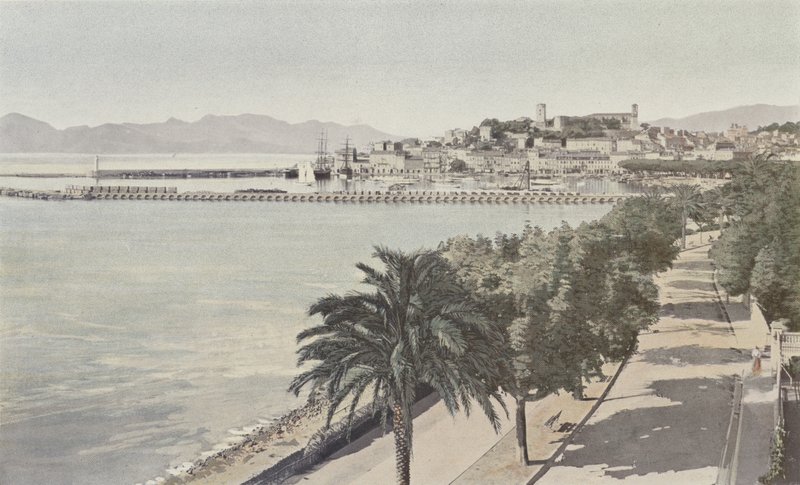 Cannes, Porto e Città vecchia, Boulevard de la Croisette da French Photographer