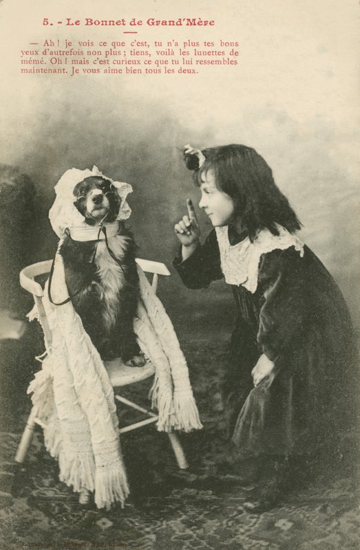 Bambina che veste il suo cane con un cappellino da French Photographer