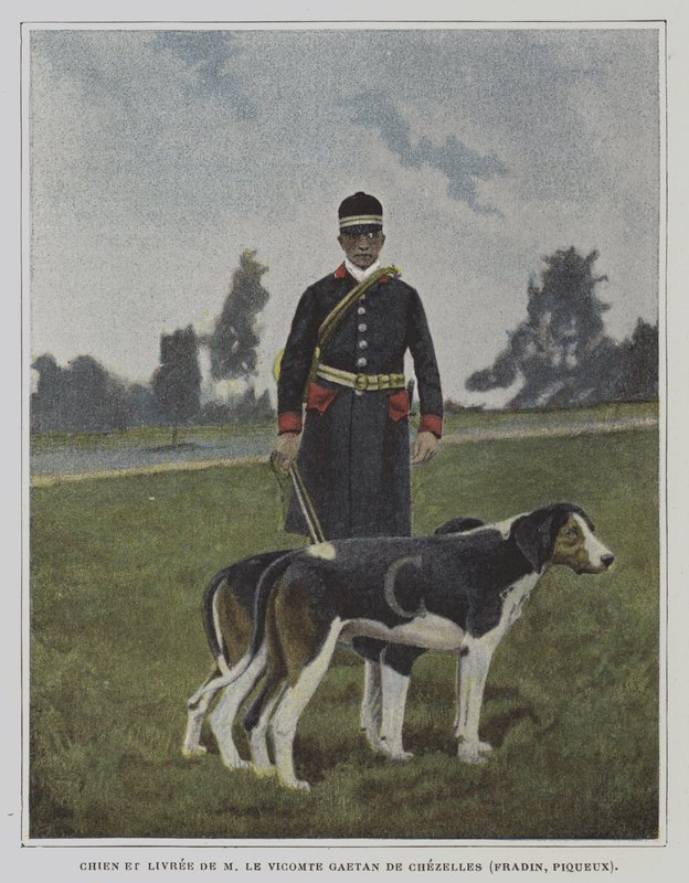 Cane e cacciatore in livrea della caccia del Visconte Gaetan de Chezelles, Francia da French Photographer