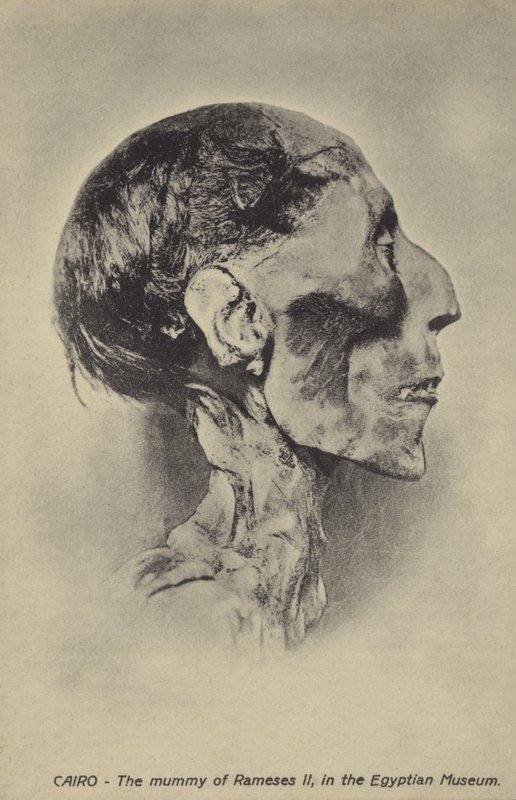 Mummia di Ramses II da French Photographer