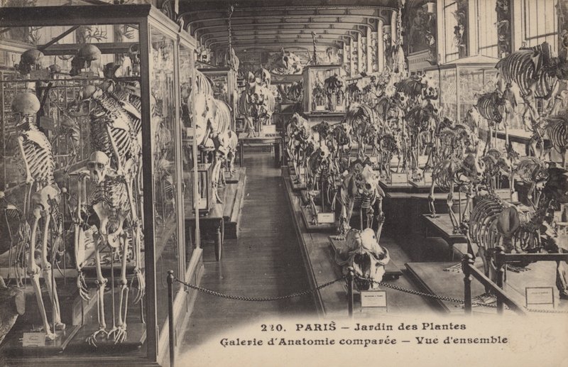 Parigi, Jardin des Plantes da French Photographer