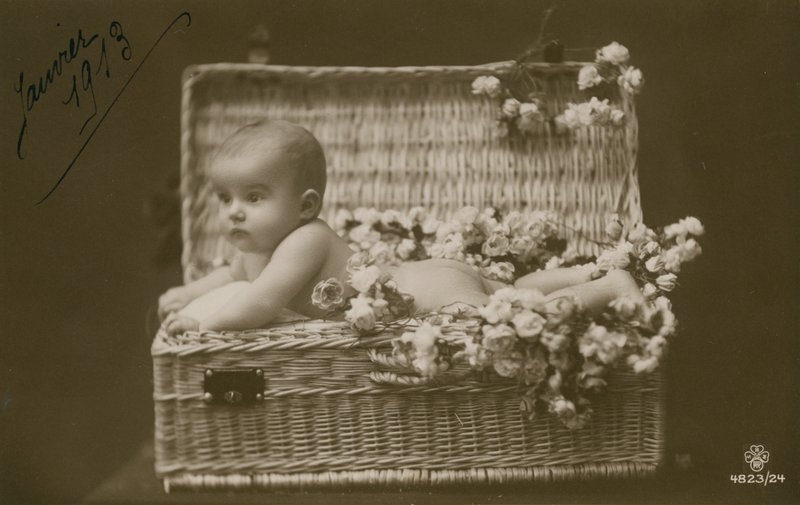 Bambino in un cesto di vimini con fiori da French Photographer