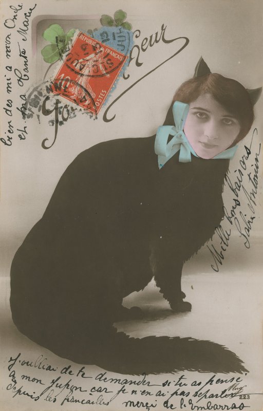 Gatto con volto di donna da French Photographer