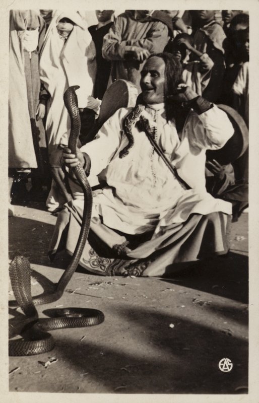 Scene del Nord Africa: Incantatore di serpenti nei Souk da French Photographer