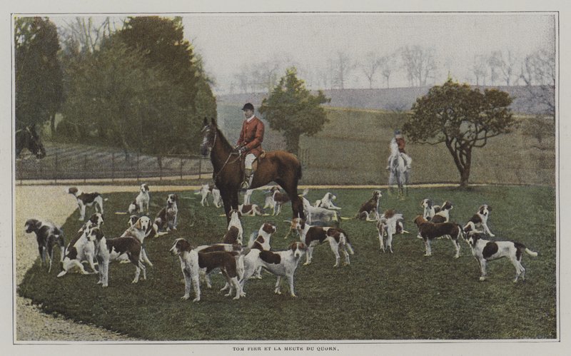 Tom Firr e i cani della Quorn Hunt, Leicestershire da French Photographer