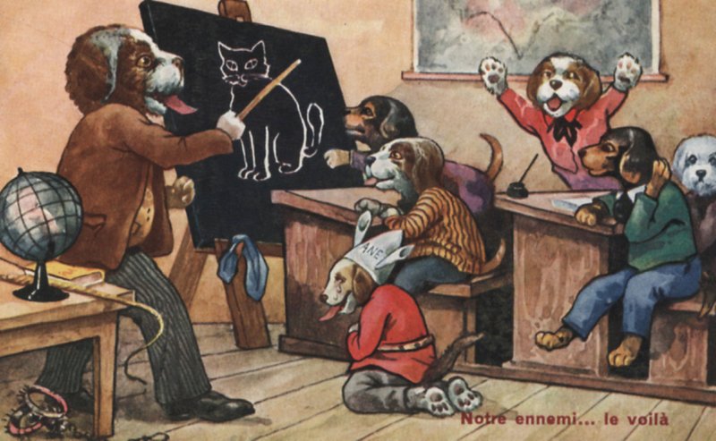 Una classe di cani da French School