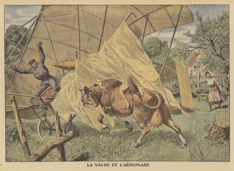 Una mucca attacca un aeroplano nel Midwest americano da French School
