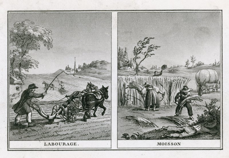 Scene agricole di aratura e raccolta da French School