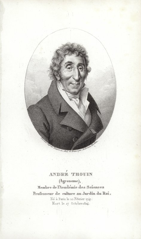 André Thouin da French School