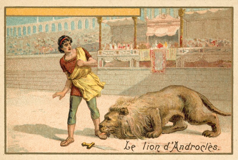 Androclo e il leone da French School