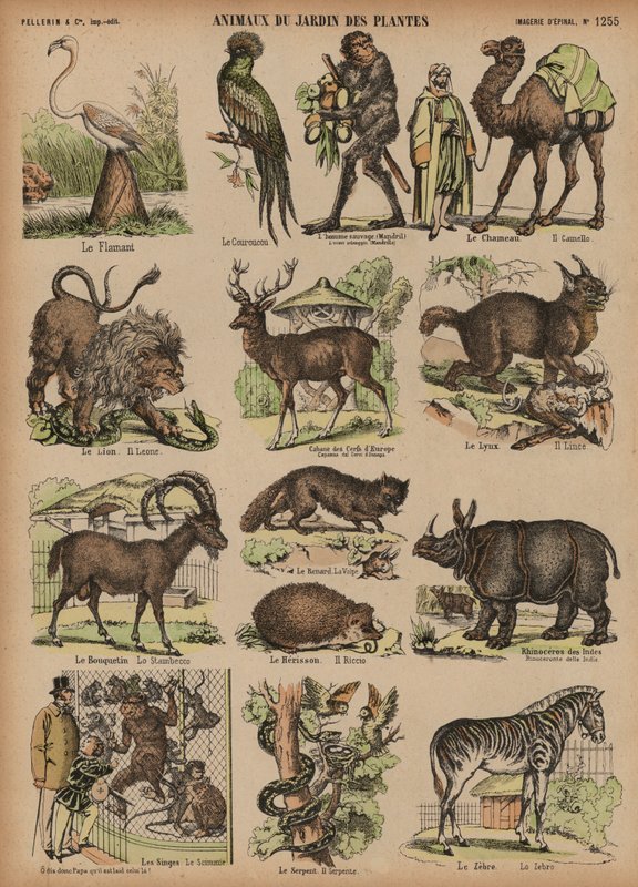 Animali del Jardin des Plantes, Parigi, Francia da French School
