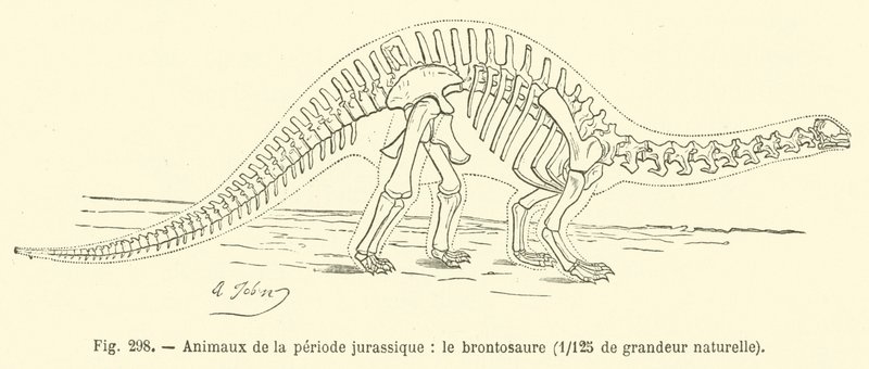 Animali del periodo giurassico, il brontosauro da French School