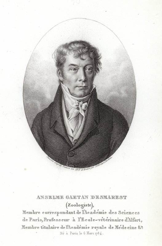 Anselme Gaëtan Desmarest da French School