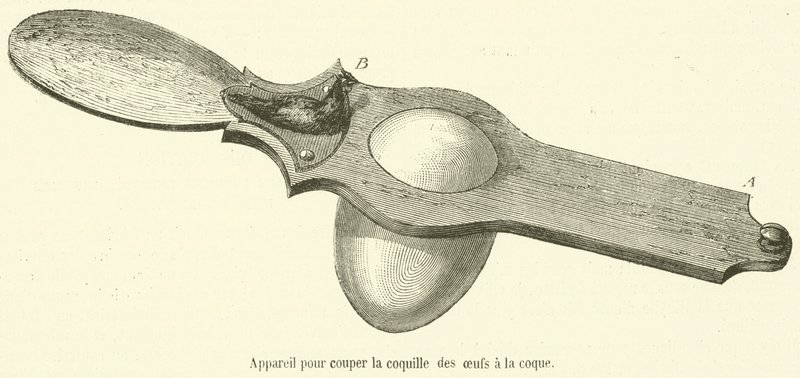 Apparecchio per tagliare il guscio delle uova alla coque da French School