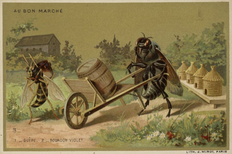 Carte Au Bon Marché con insetti antropomorfi da French School