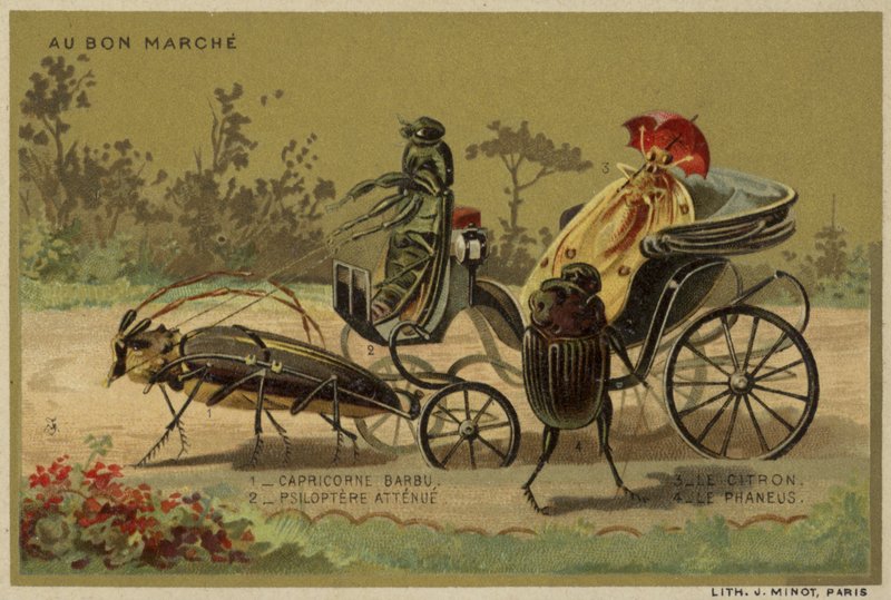 Carte Au Bon Marché con insetti antropomorfi da French School